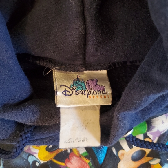 Vintage 2006 Disneyland resort hoodie - Picture 2 of 3